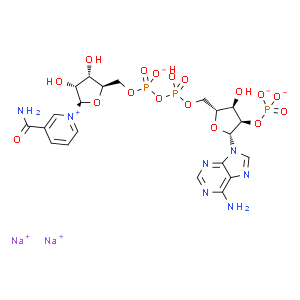 β-烟酰胺腺嘌呤二核苷酸磷酸二钠盐/氧化型辅酶Ⅱ,二钠/NADP