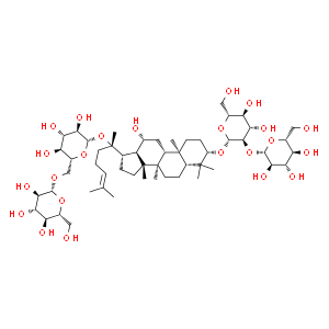 人参皂苷Rb1;人参皂甙Rb1